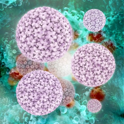 HPV-papilloma-ilustr