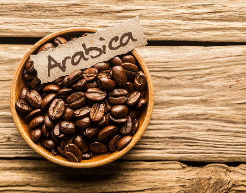 káva arabica