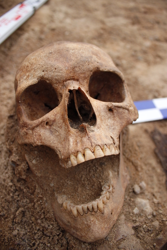 archeológ peter demján ľudská lebka