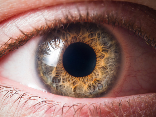 irisdiagnostika diagnostika z očí
