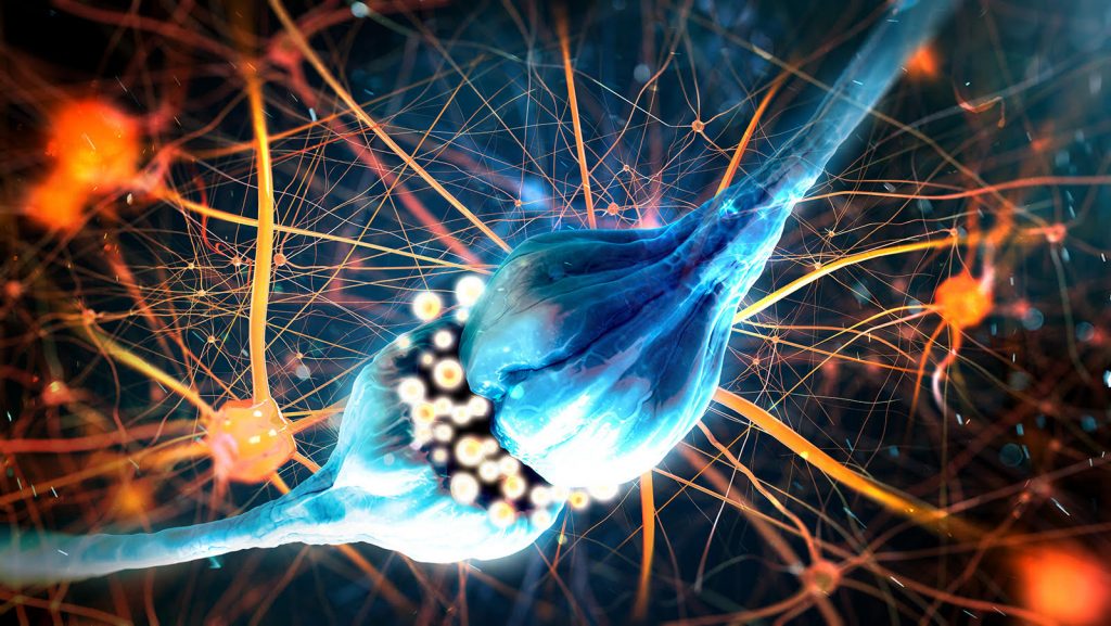 Neurotrasmitery na synapse